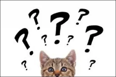 Cette fois-ci, il n'y a pas d'images, car la question est : qu'est-ce qu'un fossa ?