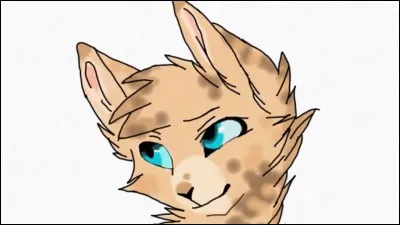 Quel serait votre meilleur atout ?