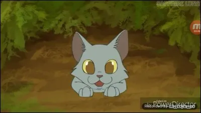 Quelle est vôtre nourriture préférée ?