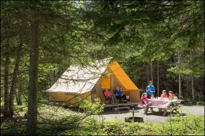 À quoi ressemblerait votre habitat et où serait-il ?