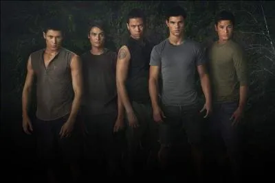 Qui est Alpha de sang ?