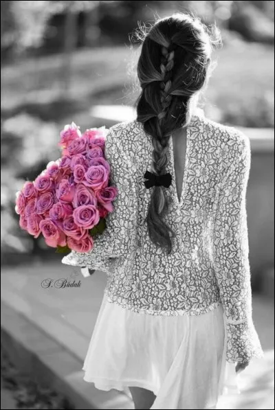 Dans quelle chanson entend-on "J'ai perdu mon amie sans l'avoir mérité, pour un bouquet de roses que je lui refusais" ?