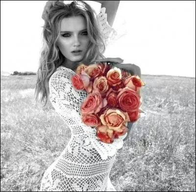 Qui chantait "La ballade de Lily Rose" ?