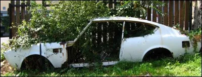 Celle-ci fut une sportive, en sa jeunesse des années 70. Laquelle ?
