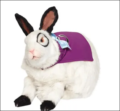 Comment s'appelle le lapin qui parle ?