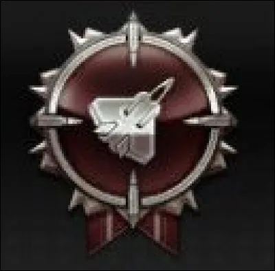 Comment s'appelle cette médaille, qu'on récupère quand on détruit un foudroiement ennemi ?