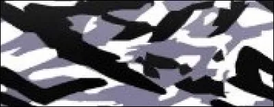 Quel est le nom de ce camouflage ?