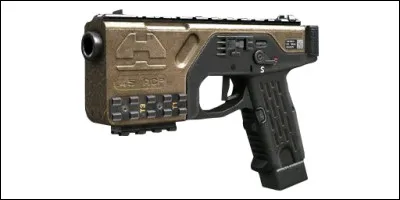 Quel est le nom cette arme ?