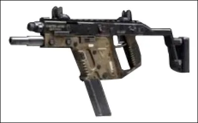 Quel est le nom cette arme ?