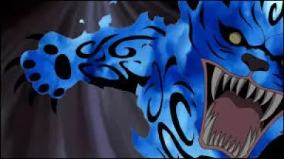 Quel est le surnom que l'on donne à Nibi, le démon chat à deux queues ?