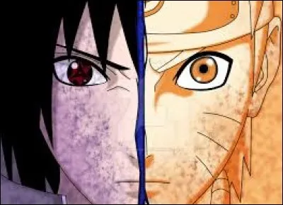 Que dit Naruto à Sasuke pendant leur combat à la fin de "Naruto Shippuden" ?