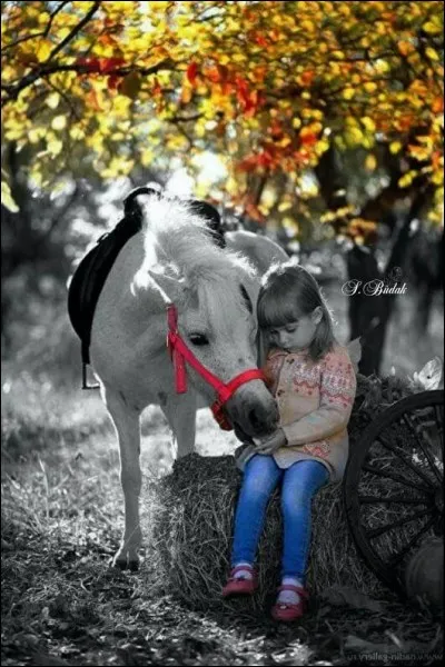 Il chantait "Il était mon idole et moi j'avais 10 ans" :