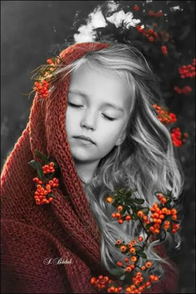 Quant à lui, il chantait "Petite fille de novembre, si blanche dans la nuit de cendre" :