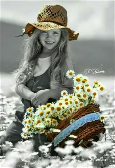 Personnage des livres de Johanna Spyri, c'est une fillette qui vit dans la montagne suisse, chez son grand-père :