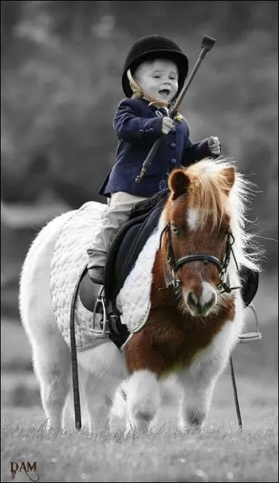 Il était l'inséparable compagnon de Poly, qui est ce petit garçon ?