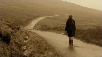 Qui a joué dans "Breaking the Waves" ?
