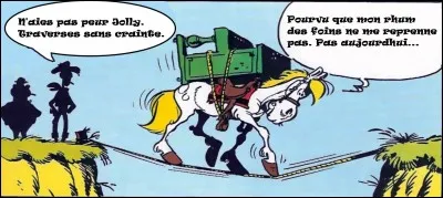 Cette situation pour le moins périlleuse n'incite sans doute pas Lucky Luke et Jolly Jumper à se préoccuper de l'orthographe...

Mais combien de fautes de français dénombrez-vous de votre côté, en écarquillant bien les yeux ?