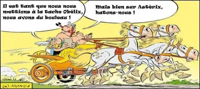 Cette fois-ci, je vous conseille de mettre particulièrement l'accent sur ce dernier...

Combien Astérix et Obélix ont-ils commis de fautes dans leur précipitation ?