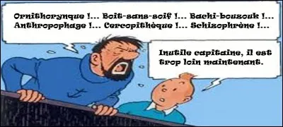 Ça se corse avec Tintin et le capitaine Haddock...

Combien ont-ils fait de fautes ?