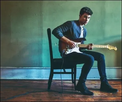 Comment s'appelle cet album de Shawn Mendes ?