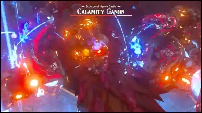 Dans le combat final, qui inflige le coup final à Ganon ?
(Plusieurs réponses possibles)