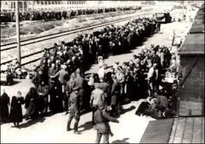 Dès la sortie du train, que font les nazis aux prisonniers ?