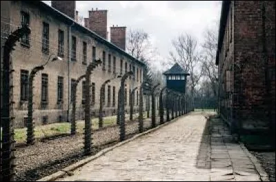 Qu'était Auschwitz II (Birkenau) ?