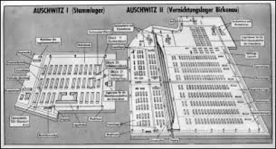 Auschwitz était constitué de combien de camps principaux ?