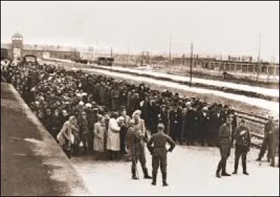 Qui sont les premiers prisonniers à arriver dans le camp ?