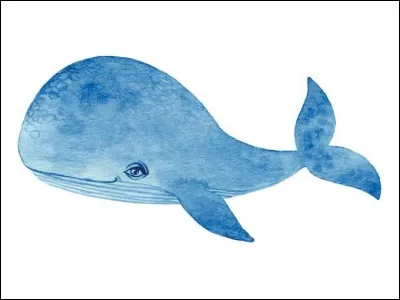 Et la baleine se dit :