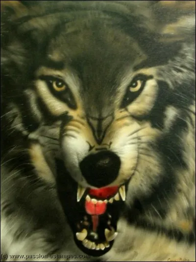 Dans les bois tu iras, le petit pot de beurre tu apporteras !