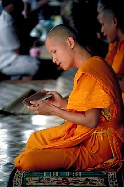 Médite, petit scarabée, et la réponse te viendra !