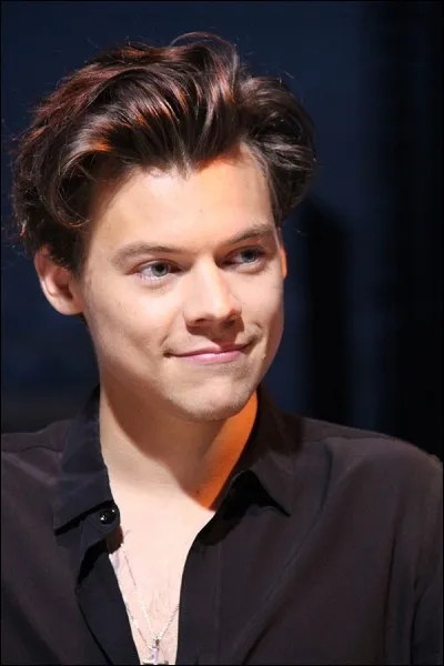 Que faisait-il avant "X Factor" ?