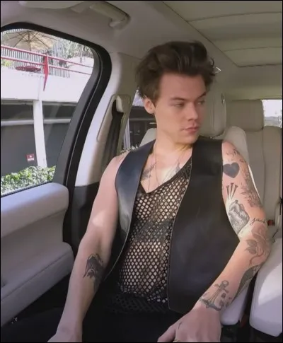 Dans quel groupe &eacute;tait-il avant les 1D ?