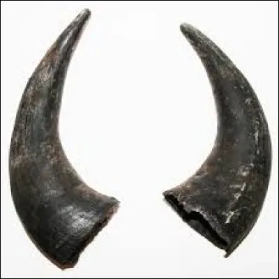 Lequel de ces animaux a des cornes ?