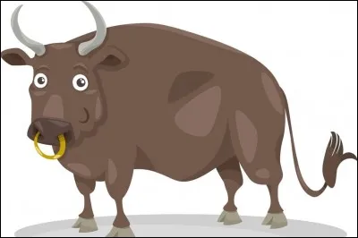 Quelle est la femelle du taureau ?