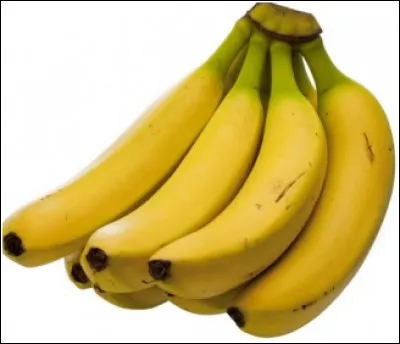 Quel animal mange des bananes ?