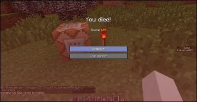 Combien de blocs de hauteur faut-il pour mourir ?