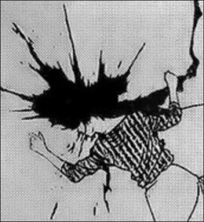 Mais pourquoi a-t-il commis un tel acte ?