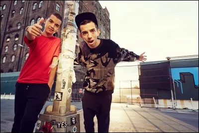 Ils font du/de la .....comme genre de musique ?