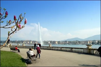 Genève se situe en :