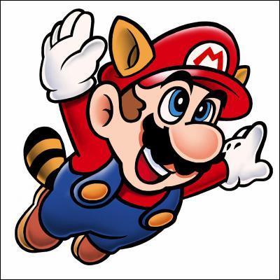 Mario Bros 3: Quel est le nom du costume suivant?