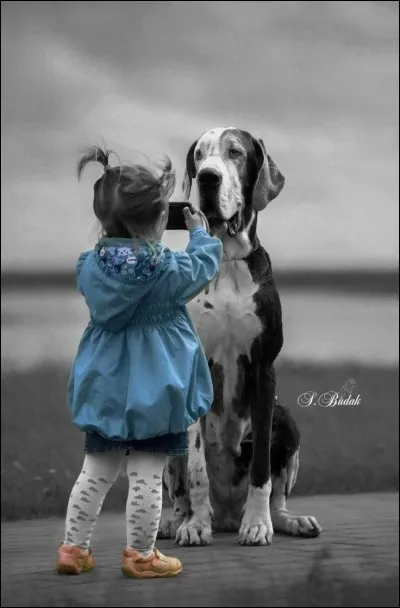 Son chien se nommait Dagobert !