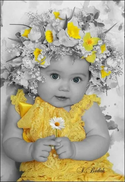 Il chantait "Un enfant de toi sans être marié" :