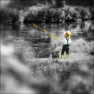 Où rencontre-t-on ces enfants, héros de Jules Verne, qui doivent apprendre à survivre, échoués dans une île déserte ?