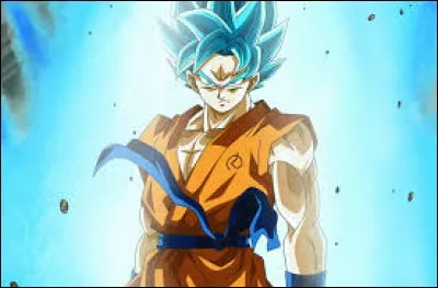 Gokû - Avec qui s'entraîne-t-il pour devenir un "Super Saiyan Blue" ?
