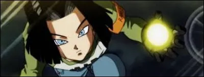 C-17 - Son véritable nom est Lapis.