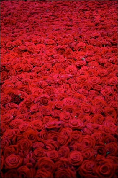 Comment s'appelle ceci en anglais ?