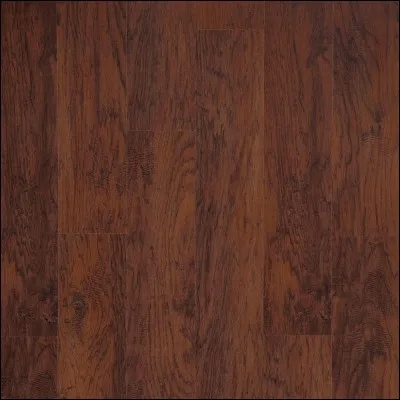 Comment s'appelle ceci en anglais ?