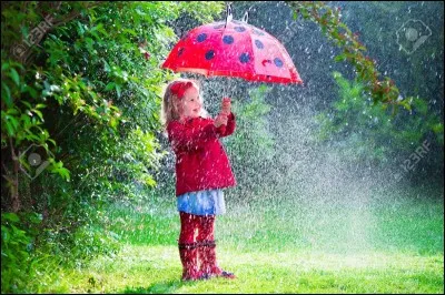 Comment s'appelle ceci en anglais ?